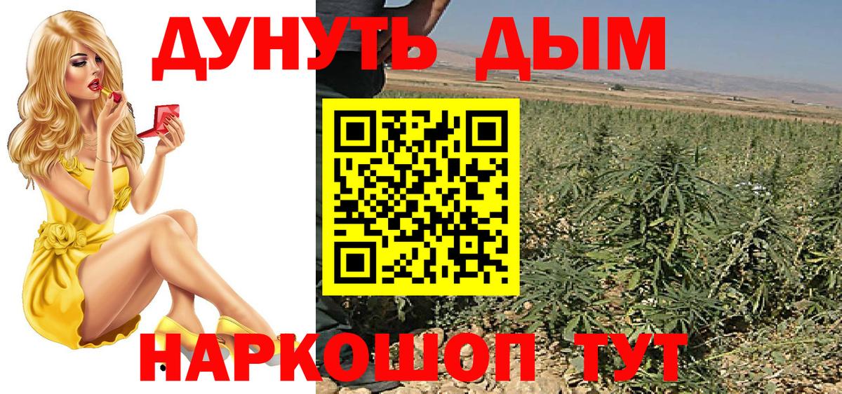 Михайловск  Бошки Шишки планчик  Каннабис план  Бошки Шишки SATIVA & INDICA  МАРИХУАНА SATIVA & INDICA  Вход с VPN 